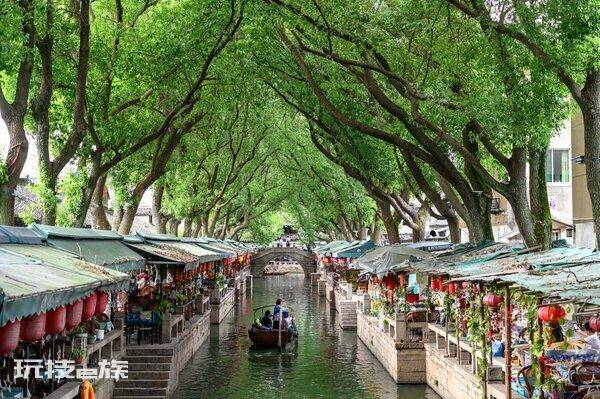 同里古镇是哪个城市(被誉为东方威尼斯的同里古镇好玩吗)-图片5